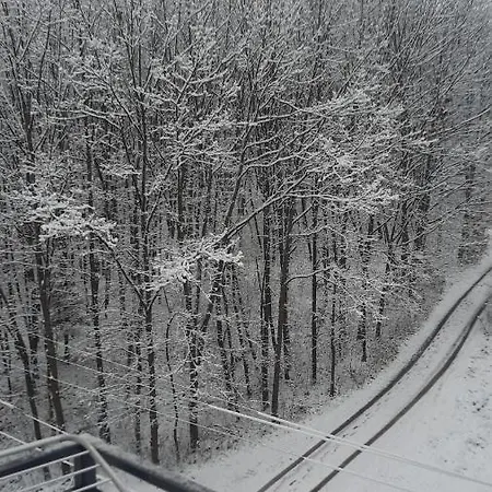 Apartament у сонячному закарпатті *