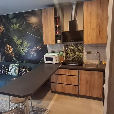 у сонячному закарпатті Apartament Polyana (Transcarpathia)